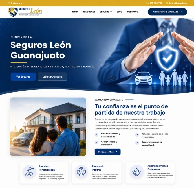 diseño web Aguascalientes