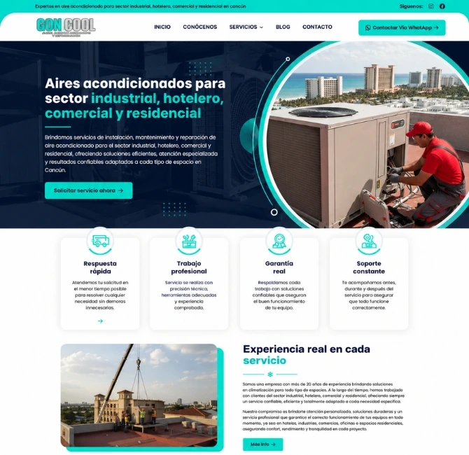 diseñador web Aguascalientes