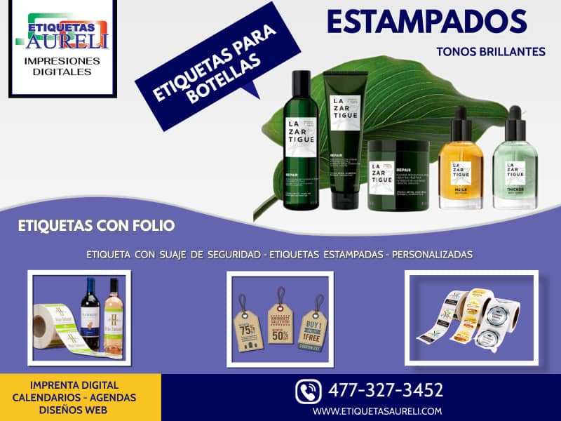 agencia diseños aguascalientes