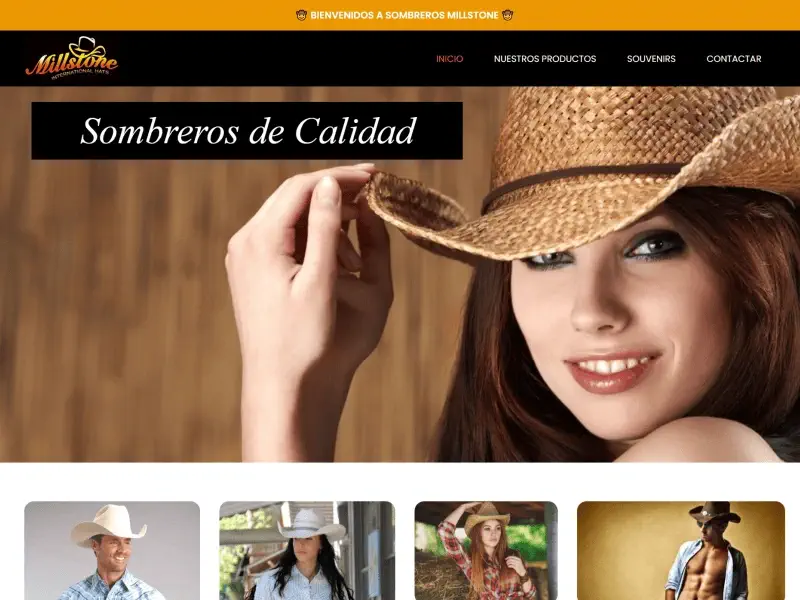 diseño paginas web aguascalientes
